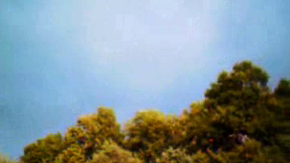 Because We Are Visual (Gerard-Jan Claes, Olivia Rochette, 2010)