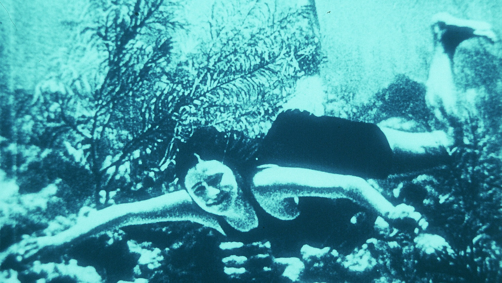 Archipels nitrate (Claudio Pazienza, 2009)