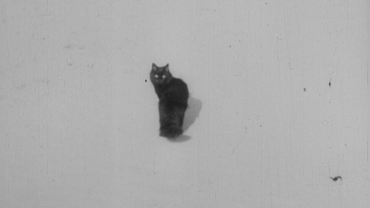 Images d'Ostende (Henri Storck, 1929)