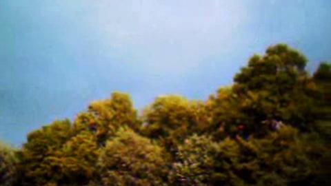Because We Are Visual (Olivia Rochette & Gerard-Jan Claes, 2010)
