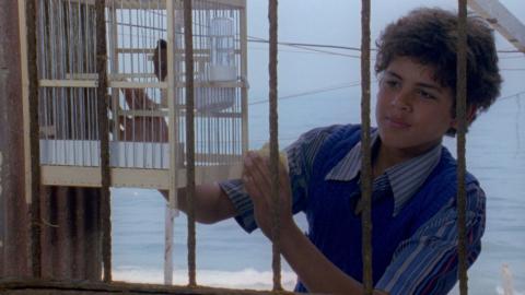 Tale of Three Jewels (Michel Khleifi, 1995)