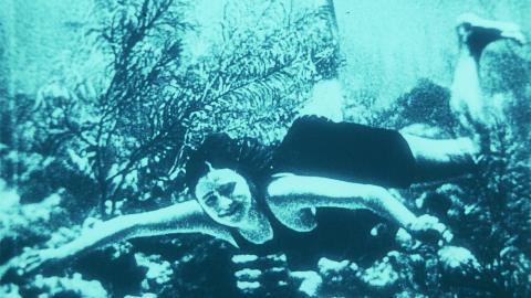Archipels nitrate (Claudio Pazienza, 2009)