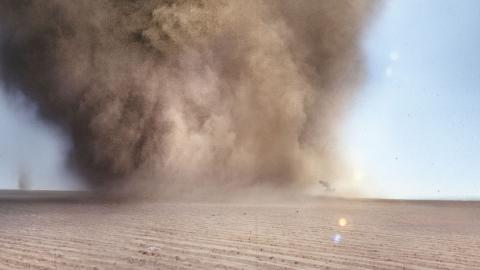 Tornado (Francis Alÿs, 2010)