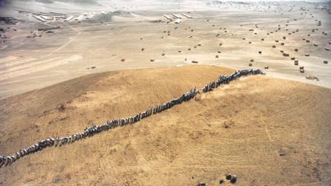 When Faith Moves Mountains (Francis Alÿs, 2002)