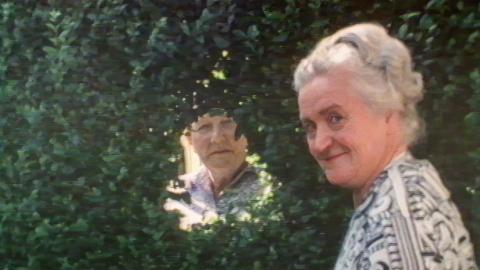 Shorts Programme: Neighbourhoods
